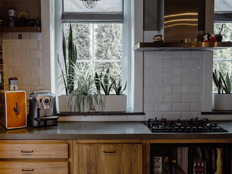 The Silent Culprit Unveiling the Detrimental Effects of Poor Kitchen Ventilation